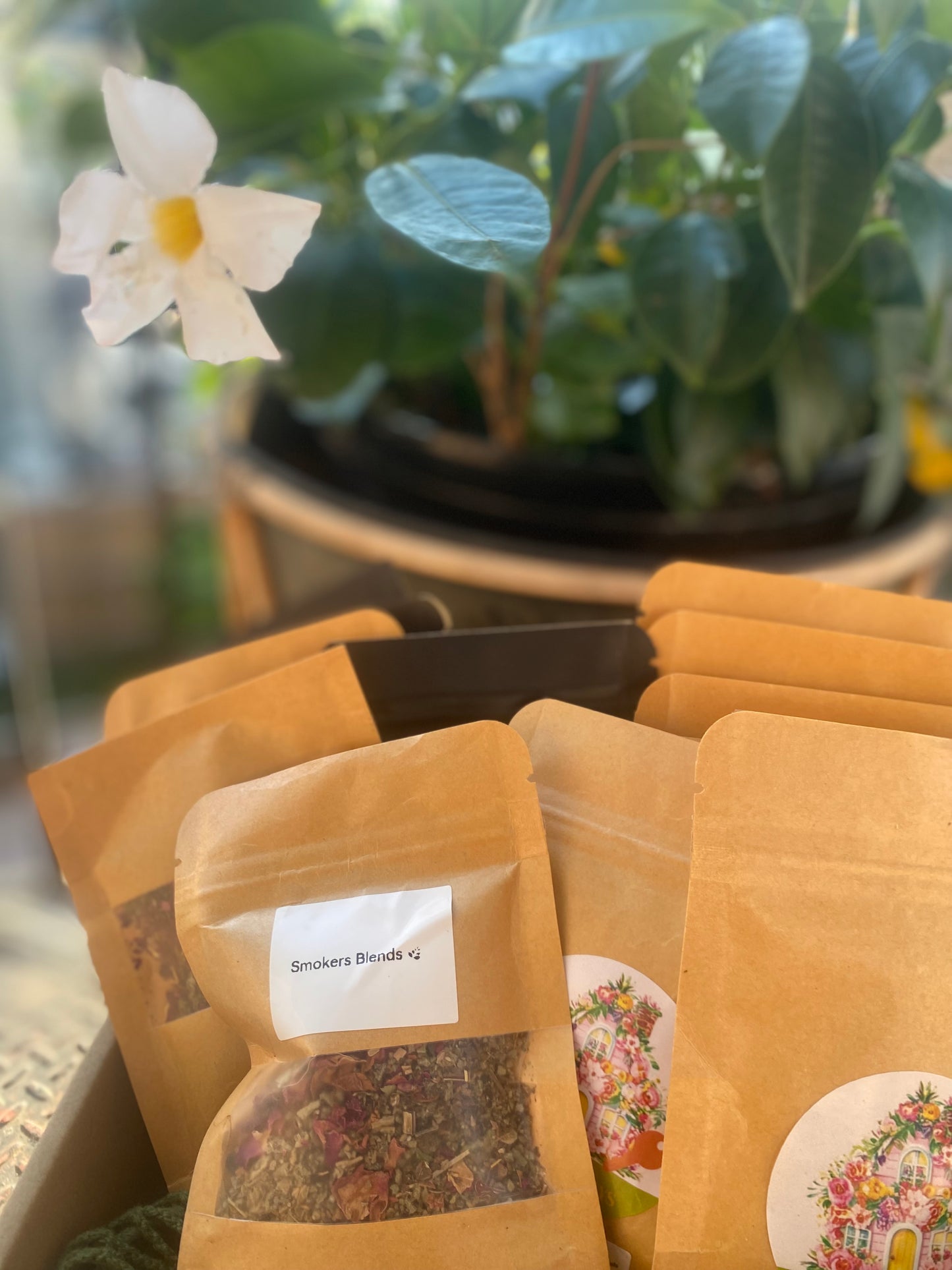 1 Pack Of Smokers blends