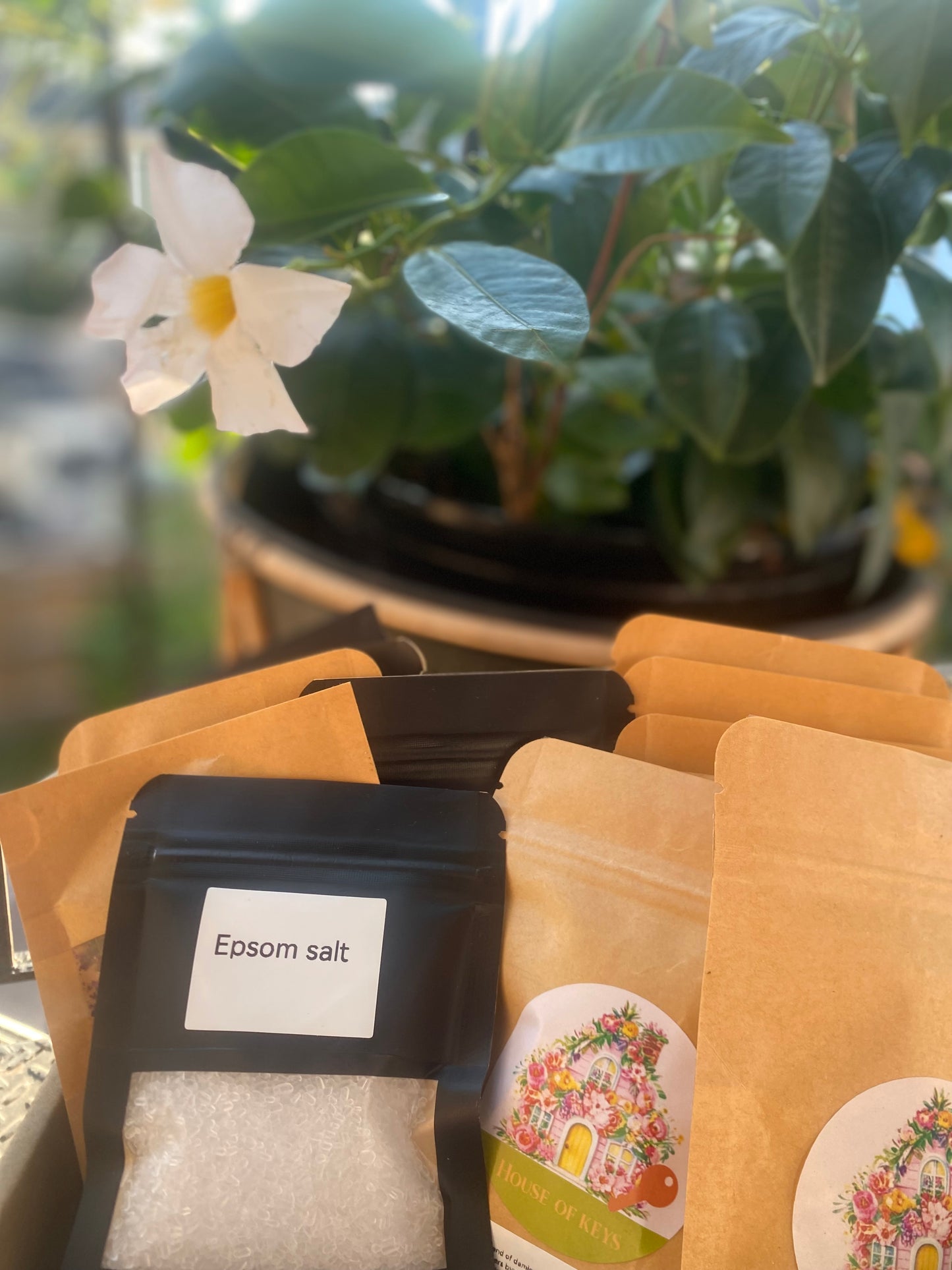 1 Pack Epsom Salt