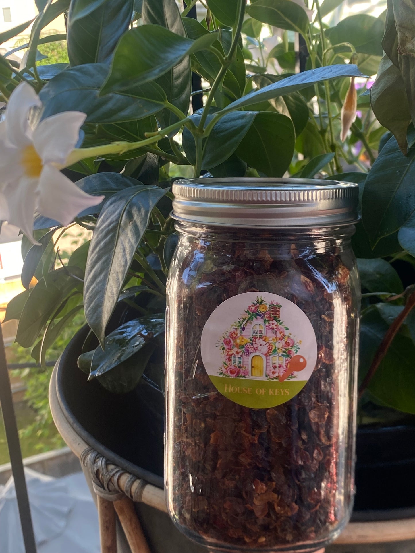 1 pack of Rose Hip