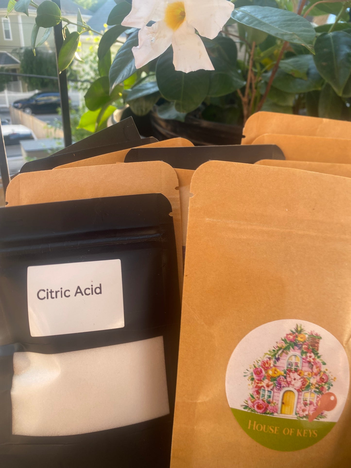 1 pack Of Citric Acid