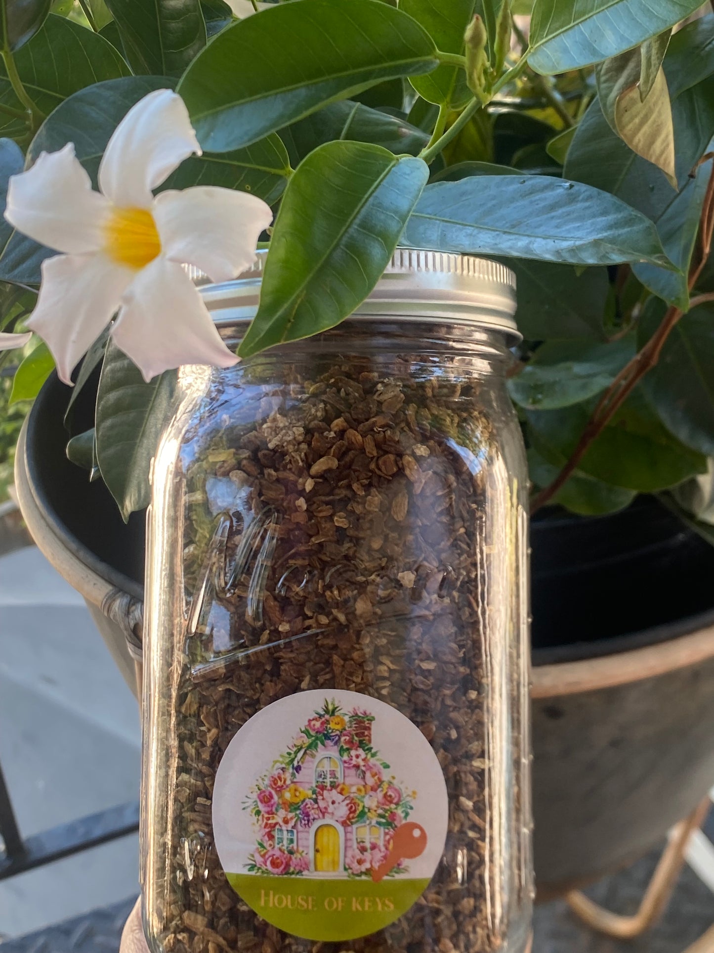 1  Pack Of Burdock Root