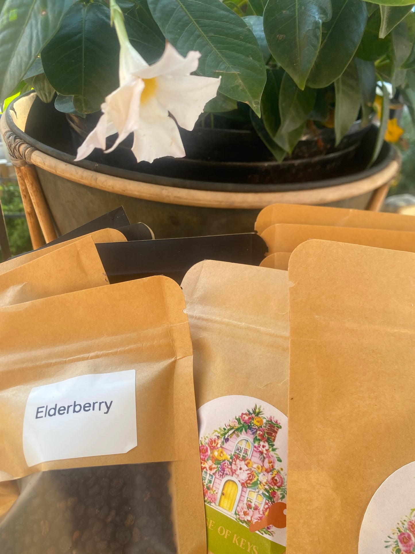 1 Pack Of Elderberry