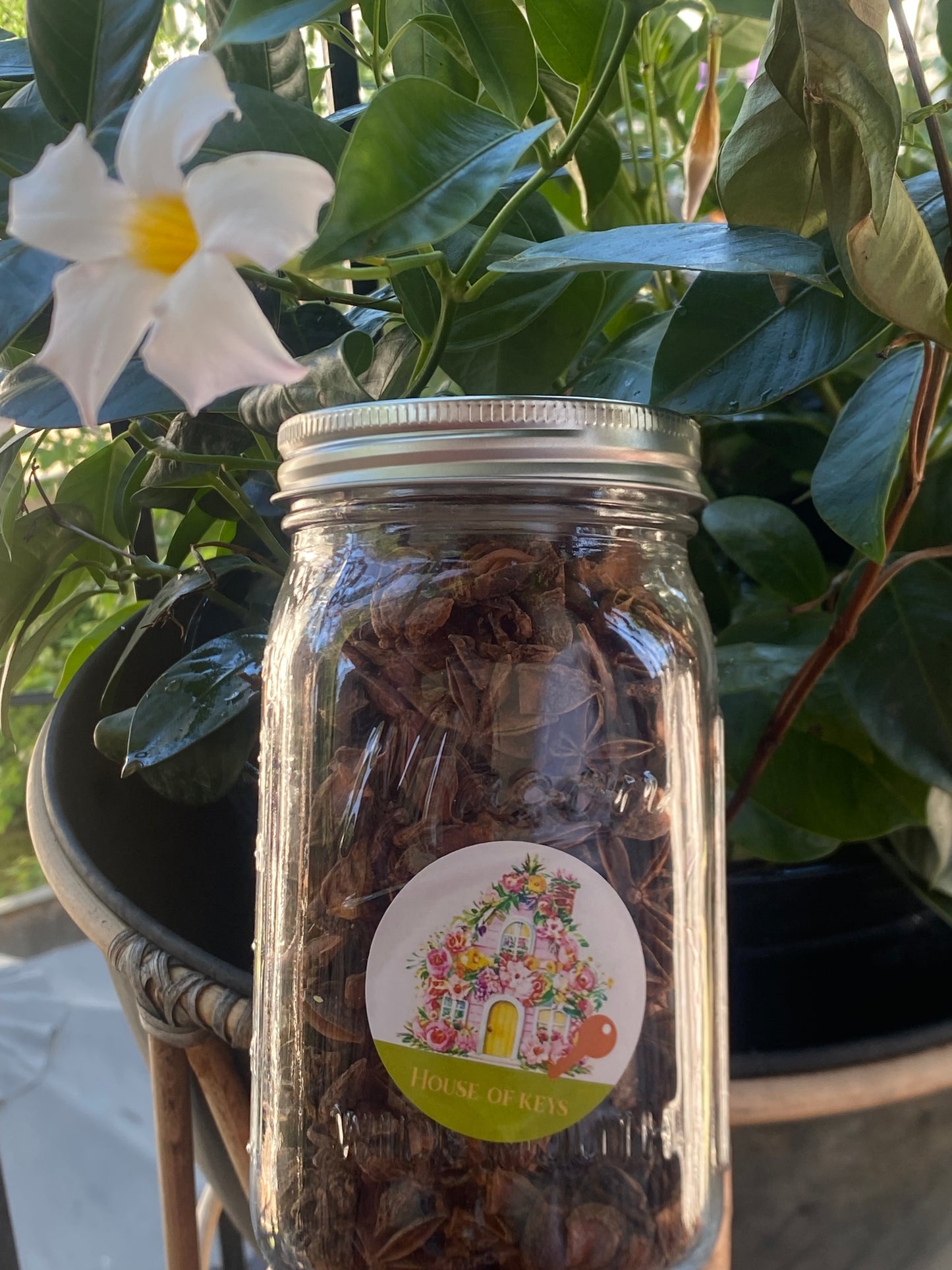 1 Pack O Star Anise